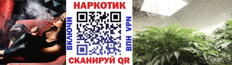 Купить закладку Каннабис  А ПВП  ГАШИШ  Меф мяу мяу  Каменка