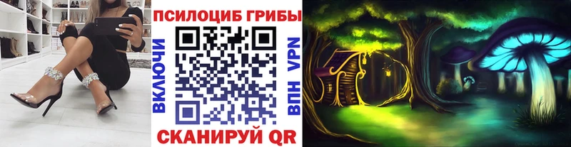 Купить где  Каменка  Галлюциногенные грибы Magic Shrooms 